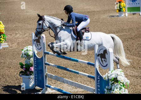 HITS sur le saut d'Hudson, Saugerties, NEW YORK Banque D'Images