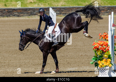 HITS sur le saut d'Hudson, Saugerties, NEW YORK Banque D'Images