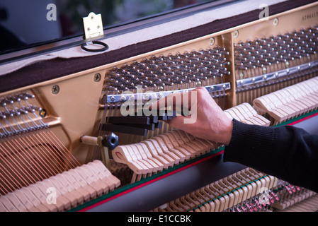 Au travail avec l'accordeur de piano à cliquet Banque D'Images