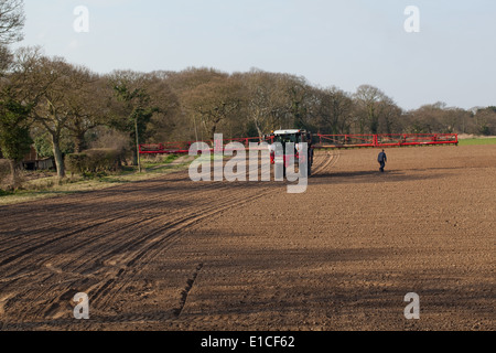 Calthorpe ferme, Ingham, Norwich. Le Norfolk. Pulvérisateur automoteur l'application d'herbicide à champ de betteraves semées. Les rampes rallongé. Banque D'Images