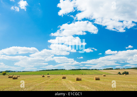 Les rouleaux de foin frais couché dans un champ sous un ciel nuageux ciel bleu Banque D'Images