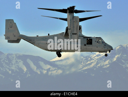 Un V-22 Osprey de l'avion à rotors basculants moyen Marine 162 Escadron, 24e Marine Expeditionary Unit rend son approche finale de l Banque D'Images