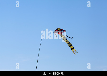 Cerf-volant d'effarouchement des oiseaux, avec beaucoup d'accent sur les yeux. Utilisé pour agir comme un dispositif d'effarouchement sur une récolte de pois. Utilisation de couleurs d'avertissement de danger, les yeux Banque D'Images