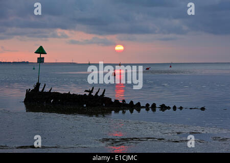 L'estuaire de Swale près de Faversham, Kent UK 31 Mai 2014 : Le soleil se lève sur une vieille épave que la marée se retire. La ferme éolienne de Kentish flats peut être vu sur l'horizon sur l'île de Sheppey. Comme pour l'une des prédictions les plus chauds enregistrés continuent, une belle journée commence le week-end comme les douches des jours précédents à régler, bien que les perspectives pour la semaine prochaine est un mélange d'averses et éclaircies Banque D'Images