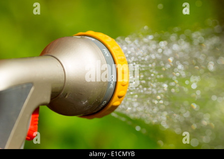 Embout pulvériser de l'eau sur les plantes à l'extérieur sur une journée ensoleillée. Banque D'Images