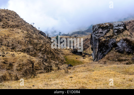 Chemin de trekking à travers les montagnes de l'Himalaya en direction de Sandakphu Banque D'Images