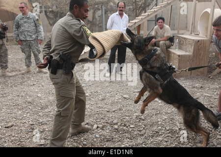 Officier de police irakienne Sajad Mohammed travaille avec un chien de travail durant l'agression militaire de la formation à la base d'opérations avancée Diam Banque D'Images