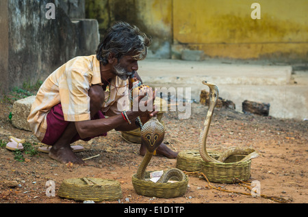 VARKALA, INDE - 9 janvier : charmeur de serpent cobras enchanteresse dans une rue de Kolkata, Inde, le 9 janvier 2014. Banque D'Images