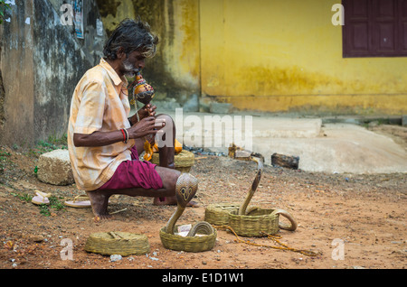 VARKALA, INDE - 9 janvier : charmeur de serpent cobras enchanteresse dans une rue de Kolkata, Inde, le 9 janvier 2014. Banque D'Images