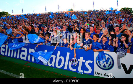 Dublin, Irlande. 31 mai, 2014. Le Leinster foule célébrer remportant la RaboDirect Pro12 match final entre Leinster et Glasgow au RDS Arena. Credit : Action Plus Sport/Alamy Live News Banque D'Images