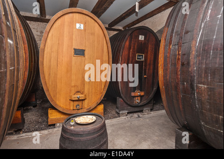 Des tonneaux de vin, plein de vin en fermentation (date de récolte sur les canons) dans une cave à vin suisse Banque D'Images