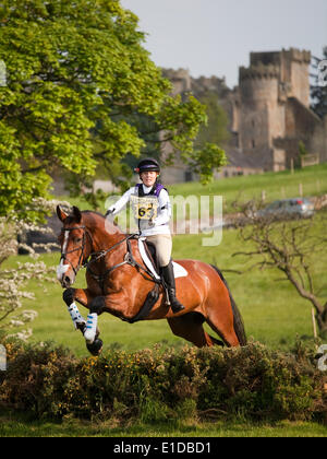 Belsay, UK. 31 mai, 2014. Un concurrent dans le cross-country de l'article supprime les sauts lors de l'équitation de Belsay 2014, organisé pour la deuxième année consécutive en raison de Belsay château dans le Northumberland, en Angleterre. Belsay château lui-même, visible en arrière-plan, est géré par l'English Heritage et est ouvert au public toute l'année. Credit : AC Images/Alamy Live News Banque D'Images