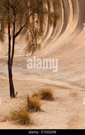 Wave Rock près de Hyden en Australie de l'Ouest Banque D'Images