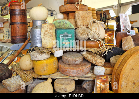 Différents types de fromage à pâte dure sur le marché en Italie. Banque D'Images