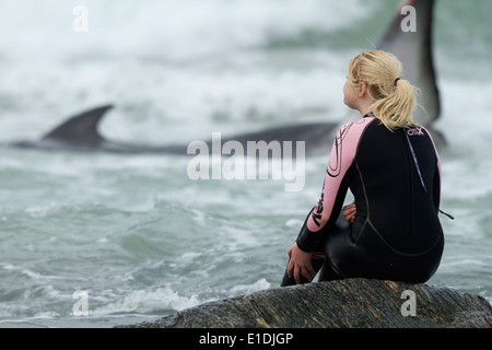 Jeune femme regarde, impuissants, un petit rorqual juvénile luttes dans les eaux peu profondes au large de la côte au large de North Uist, Scotland. Banque D'Images