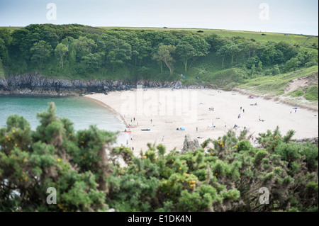 Barafundle Bay Beach Cove National Trust dans l'ouest du pays de Galles Pembrokeshire Banque D'Images