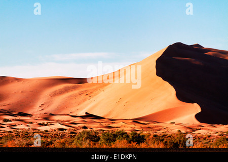 Erg Chebbi dunes de sable dans le désert du Sahara, près de Merzouga, Maroc Banque D'Images