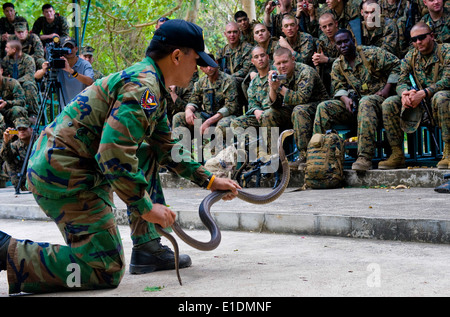 Une Marine royale thaïlandaise gère un cobra au cours de la survie dans la jungle à la classe d'Or 2010 Cobra. Gold Cobra est une multinationale exerci Banque D'Images