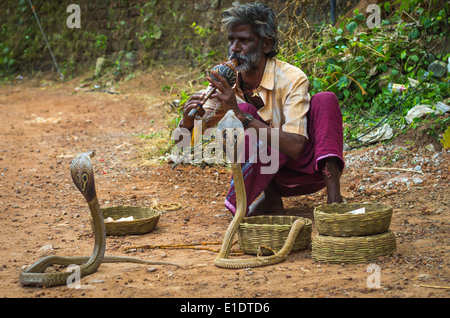 VARKALA, INDE - 9 janvier : charmeur de serpent cobras enchanteresse dans une rue de Kolkata, Inde, le 9 janvier 2014. Banque D'Images