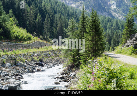 Mountain Valley dans le nord de l'Italie et la rivière Banque D'Images