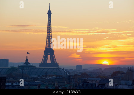 France, Paris, Tour Eiffel la nuit Banque D'Images