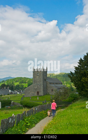 Femme et chien à marcher vers l'église de Hawkshead, Parc National de Lake District, Cumbria, Angleterre, Royaume-Uni Banque D'Images