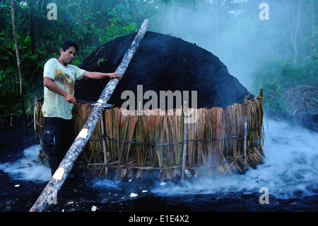 Fabrication de charbon de bois par méthode traditionnelle - Rainforest dans Industria - PANGUANA . Département de Loreto .PÉROU Banque D'Images