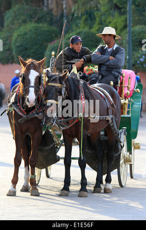 Horse and carriage attendent les touristes à la place Djemaa el Fna, Marrakech, Maroc Banque D'Images