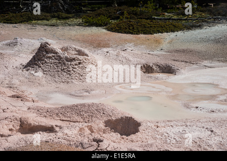 Une piscine de boue bouillonnante dans la zone géothermique. Le Parc National de Yellowstone, Wyoming, USA. Banque D'Images