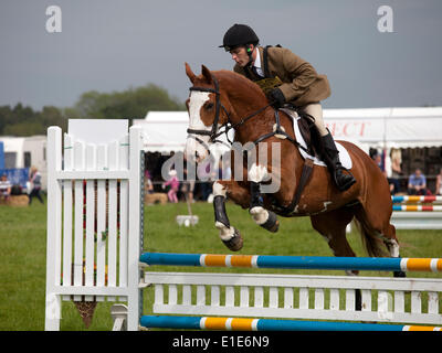 Belsay, UK. 01 Juin, 2014. Un concurrent dans la section saut d'efface un saut lors de la deuxième journée d'essais 2014 Cheval Belsay, organisé pour la deuxième année consécutive en raison de Belsay château dans le Northumberland, en Angleterre. Belsay château est géré par l'English Heritage et est ouvert au public toute l'année. Credit : AC Images/Alamy Live News Banque D'Images