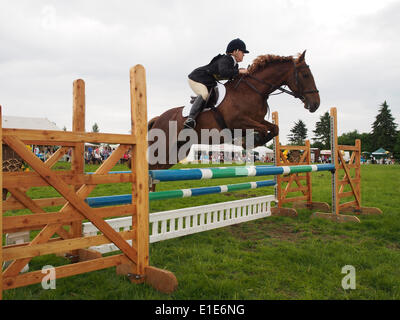 Belsay, UK. 01 Juin, 2014. Un concurrent dans la section saut d'efface un saut lors de la deuxième journée d'essais 2014 Cheval Belsay, organisé pour la deuxième année consécutive en raison de Belsay château dans le Northumberland, en Angleterre. Belsay château est géré par l'English Heritage et est ouvert au public toute l'année. Credit : AC Images/Alamy Live News Banque D'Images