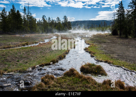 Débit d'eau par le biais d'un pré. Le Parc National de Yellowstone, Wyoming, USA. Banque D'Images