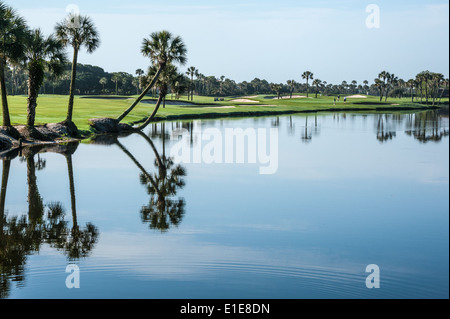 Un matin tôt partie de golf au milieu de la beauté de Ponte Vedra Beach, Floride, USA. Banque D'Images