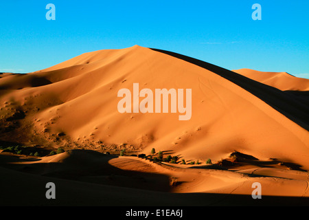 Erg Chebbi dunes de sable dans le désert du Sahara, près de Merzouga, Maroc Banque D'Images