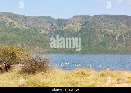 Les flamants roses et le beau paysage au lac Bogoria, au Kenya. Banque D'Images