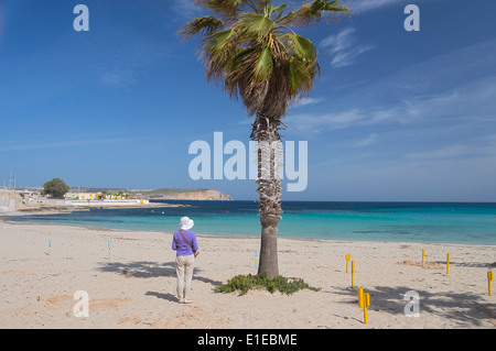 Malte Armier Bay palm beach Banque D'Images