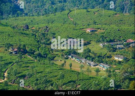 L'Inde, Etat du Kerala, Munnar, plantations de thé, thé village travailleur tamoul Banque D'Images