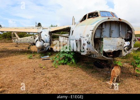 Épave d'un avion russe Antonov An26 à l'Aérodrome de perles, Grenville, Grenade, West Indies Banque D'Images