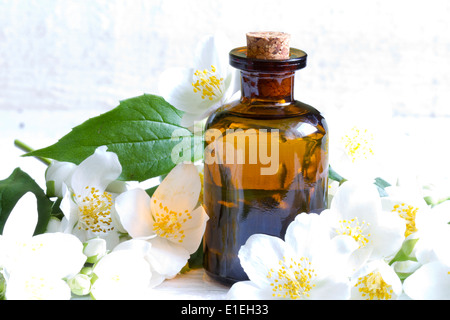 Jasmine l'aromathérapie huile sur bandes blanches avec des fleurs concept Banque D'Images