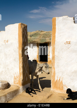 L'Inde, Rajasthan, Jaisalmer, vache en entrée de désert du Thar composé maison Banque D'Images