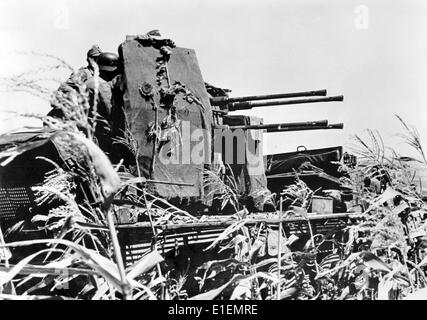 La photo tirée des reportages nazis montre que des soldats allemands ont étrôné un fusil anti-avion (Flak) dans un champ de tournesols sur le front sud-est en août 1942. L'attaque allemande de l'Union soviétique avait été décidée en juillet 1940 et elle avait été préparée sous le nom de code 'opération Barbarossa' depuis décembre 1940. L'invasion allemande de l'Union soviétique a commencé le 22 juin 1941. Fotoarchiv für Zeitgeschichtee -NO WIRE SERVICE- Banque D'Images