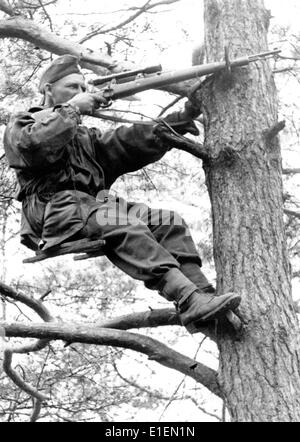 La photo de reportage du National socialiste montre un soldat de la Wehrmacht allemande au combat comme un sniper assis sur un siège auto-fait dans un arbre en juin 1944. Fotoarchiv für Zeitgeschichtee -NO WIRE SERVICE- Banque D'Images