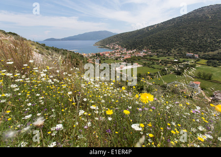 Village d'Agia Efimia, Céphalonie. Portrait pittoresque d'Agia Efimia, sur la côte est de Céphalonie. Banque D'Images