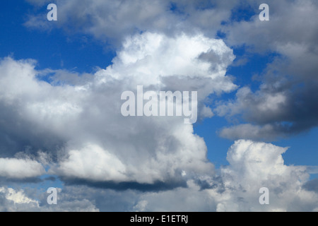 Cumulus blancs, des nuages gris, ciel bleu ciel nuage UK Banque D'Images