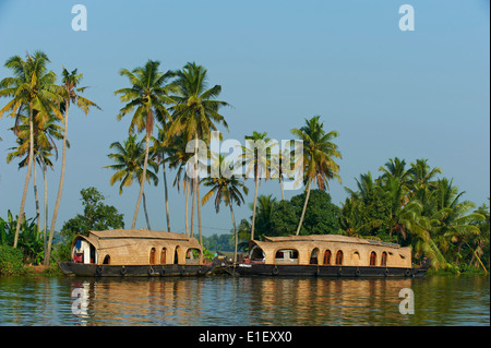 L'Inde, Etat du Kerala, Allepey, backwaters, péniche pour les touristes Banque D'Images