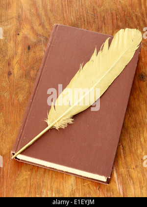 Plume d'or et livre brun sur grunge wood board Banque D'Images