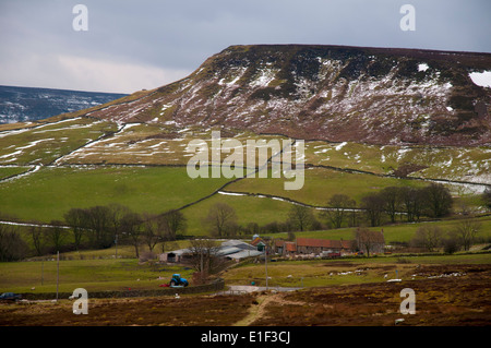 Arrêter Bullen avec une fine couche de neige dominant de peu d'Fryup Dale dans le North York Moors National Park Banque D'Images