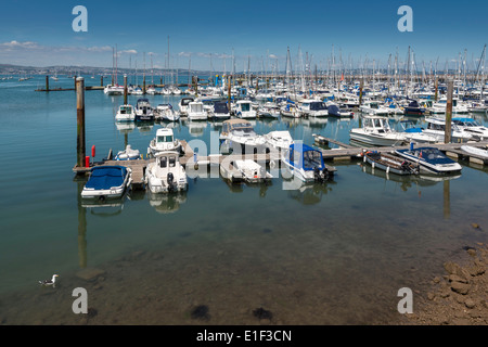 Yachts et bateaux amarrés à des pontons à Brixham harbour/marina en été. Devon, ouest de l'Angleterre, Royaume-Uni Banque D'Images