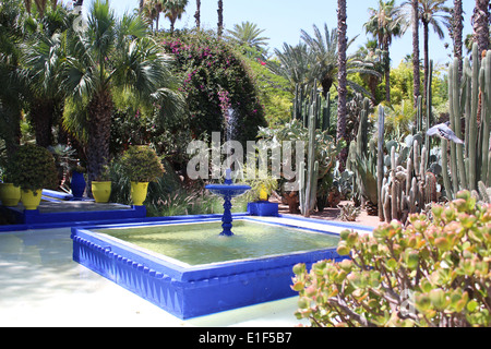 Le jardin Majorelle - Marrakech Banque D'Images