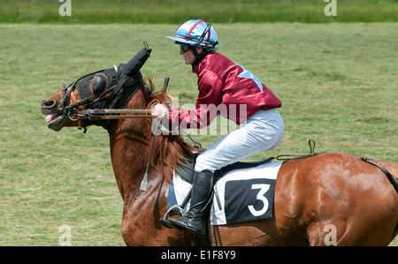 Courses hippiques à l'hippodrome de bourigny, Normandie, France Banque D'Images
